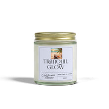 Load image into Gallery viewer, Hand-Poured Scented Candle - Non-Toxic  Wax, 9 oz and 4 oz Sizes, Clear & Amber Jars, Perfect for Gifting